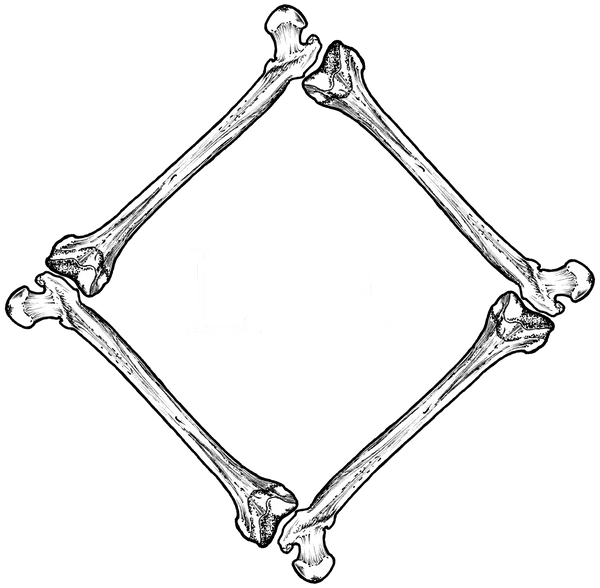 LSD Jewellery