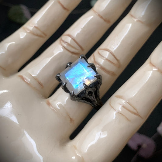 The Dark Embrace Ring (Rainbow Moonstone and Grey Moonstone)