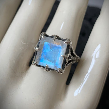 The Dark Embrace Ring (Rainbow Moonstone and Grey Moonstone)