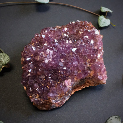 Amethyst Cluster I