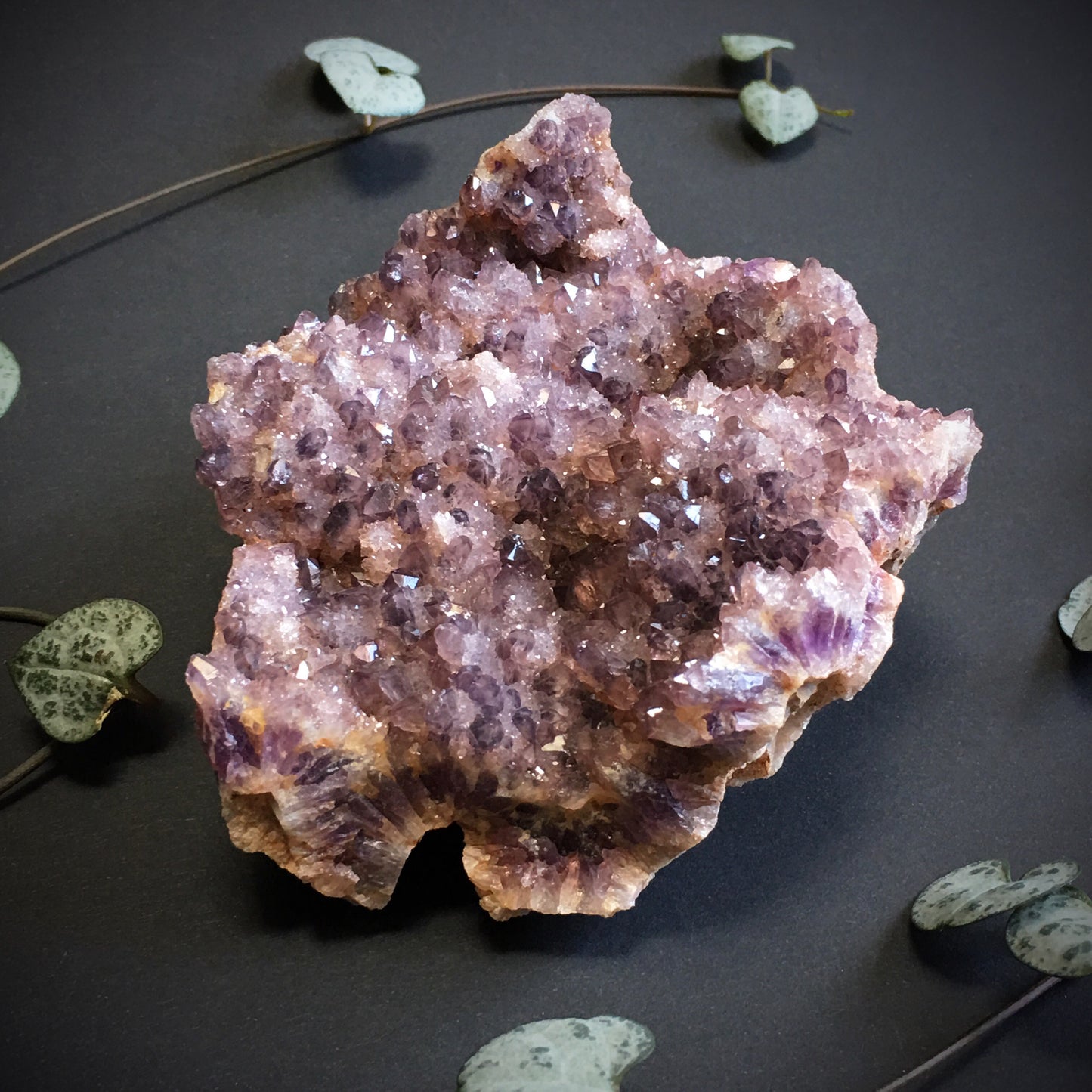 Amethyst Cluster II