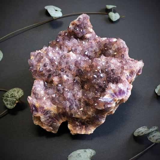 Amethyst Cluster II