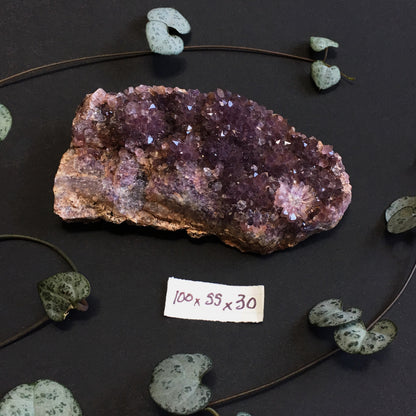 Amethyst Cluster V