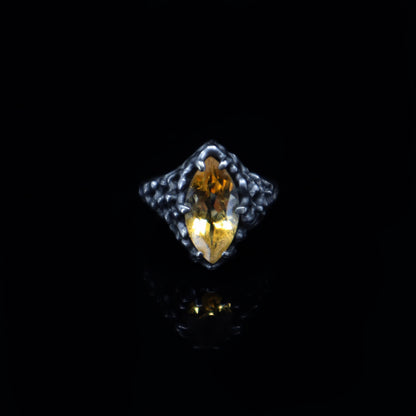 Aphrodite Ring (Garnet and Citrine)