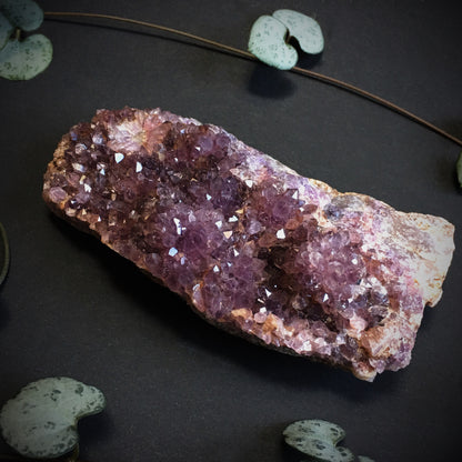 Amethyst Cluster V