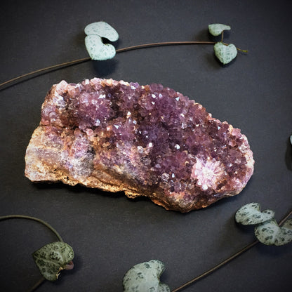 Amethyst Cluster V