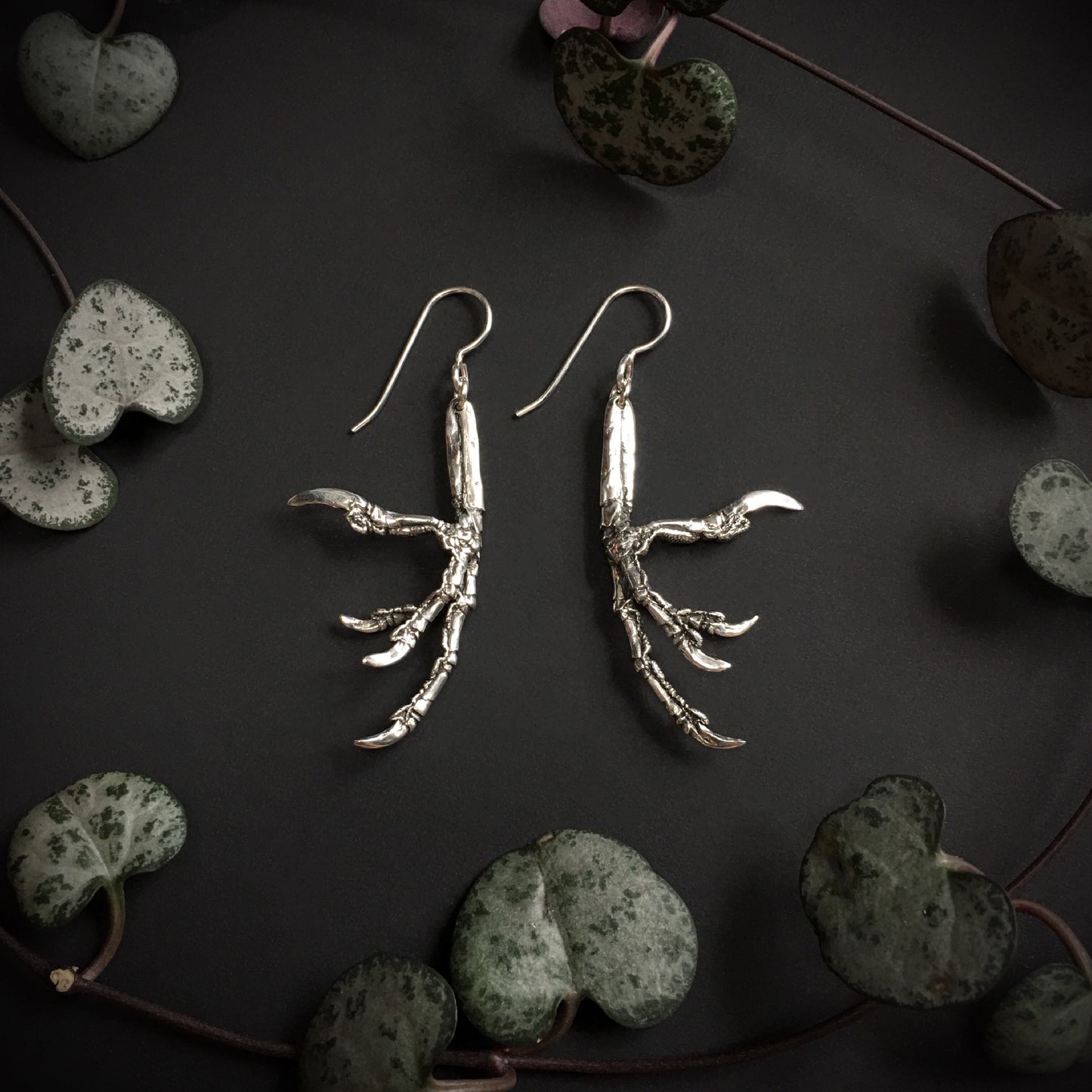 Starling Claw Earrings