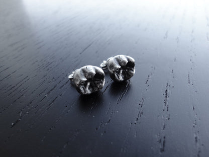 Baby Tooth Studs